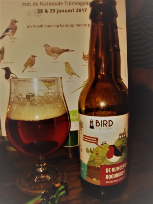 brid brewery amsterdam, rumoerige roodborst, tuinvogeltelling
